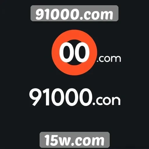 Acessibilidade e interface de 91000.com são bem avaliadas